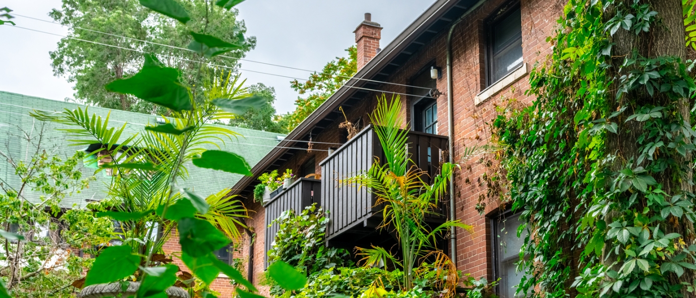 Photo of a balcony off the side of a brick co-op building with many plants in the foreground